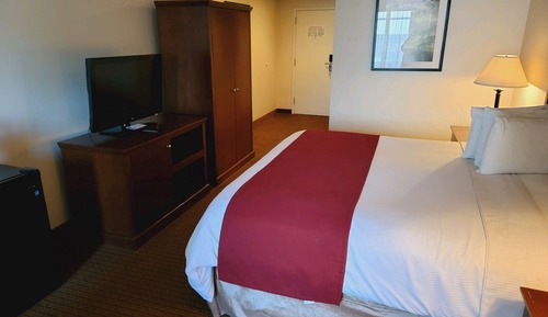 Standard Room ,1 King Bed