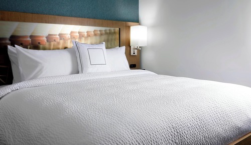 Room, 1 King Bed with Sofa bed
