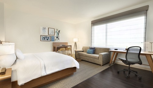 Studio, 1 King Bed with Sofa bed