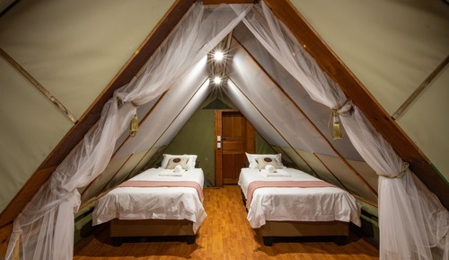 Safari Tent 