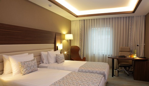 Superior Room (Twin Bed)