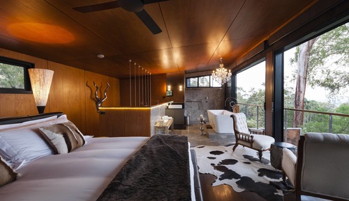 Chief Suite