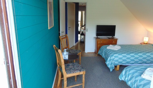 Basic Twin Room