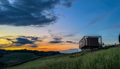 Luxury Suite, Vineyard View