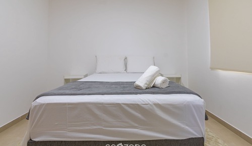 Basic Apartment