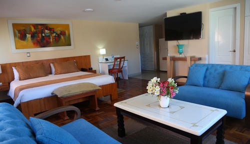 Deluxe Apartment
