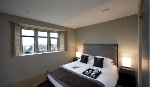 Double Room, 1 King Bed (Shower)