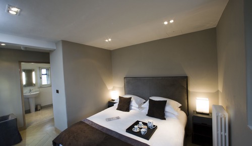 Double or Twin Room, 1 King Bed (Bath and shower)