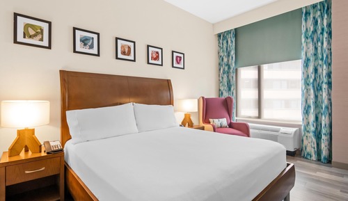 Room, 1 King Bed, Partial View