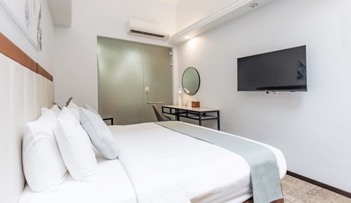 Deluxe King with Skylight & Bathtub