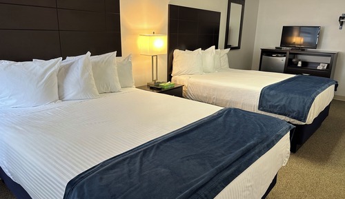 Standard Room, 2 Double Beds