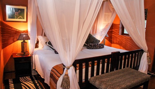 Luxury Safari