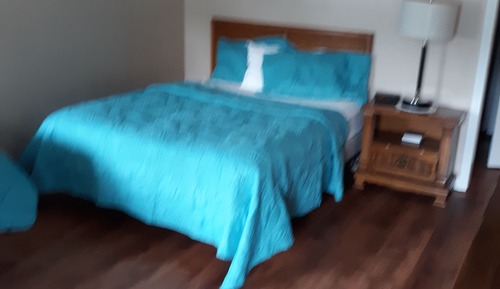 Basic Apartment