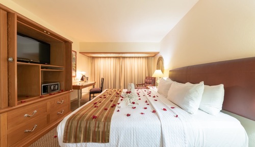 Room, 1 King Bed (Hab Lunamielera)
