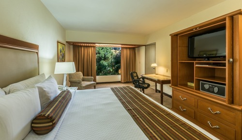 Room, 1 King Bed, Non Smoking