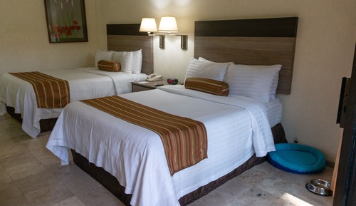 Standard Room, 1 Double Bed (Dog Friendly)