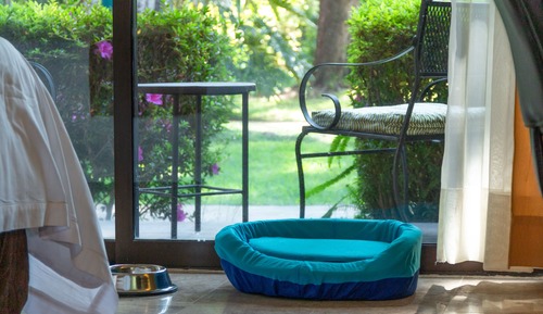 Standard Room, 1 King Bed (Dog Friendly)