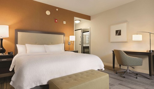 Room, 1 King Bed, Accessible (Roll-in Shower)
