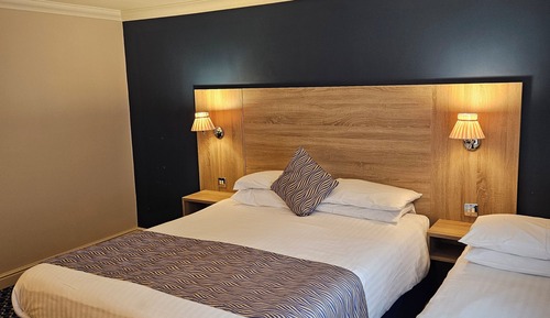 Family Room, 1 King Bed