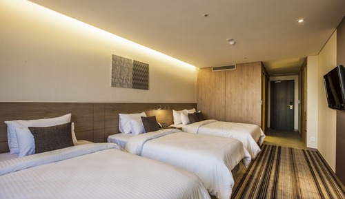 Triple Room (Free stay - 1 Child under 6years old )