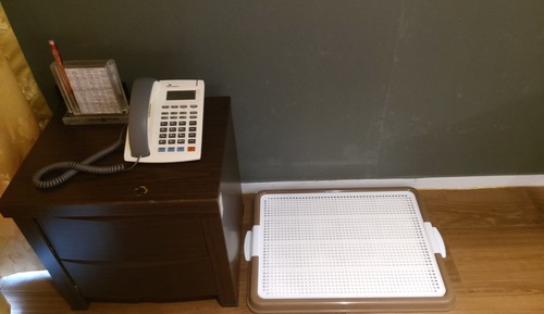 Pet Room Twin bed
