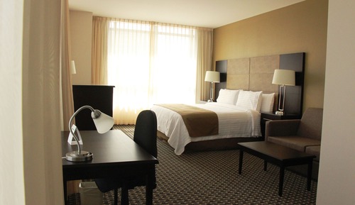 Suite, 1 King Bed