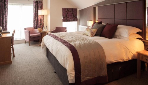 Executive Twin Room, River View