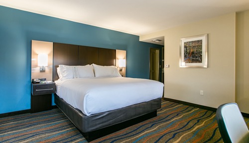 Standard Room, 1 King Bed, Roll-in Shower (Mobility)
