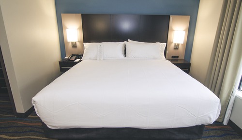 Suite, 1 King Bed with Sofa bed