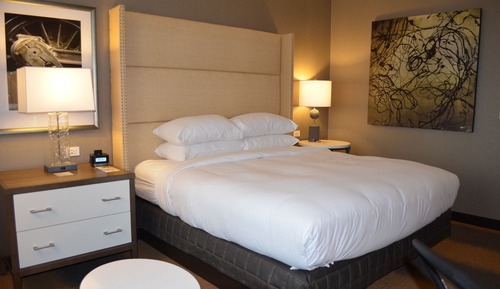 Room, 1 King Bed