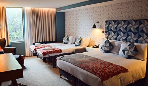 Family Room, Multiple Beds