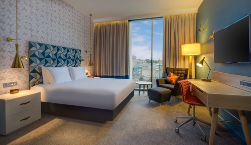 Family Room, 1 King Bed