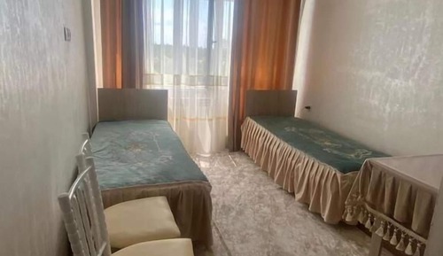 Basic Twin Room