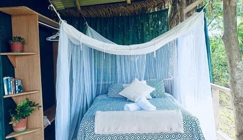 Deluxe Cabin, Ocean View