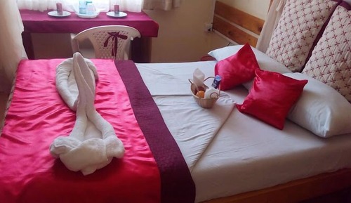 Deluxe Single Room, Garden View
