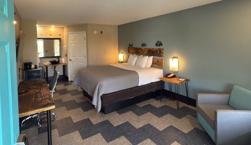 Single Room, 1 King Bed, Non Smoking, Pets Allowed
