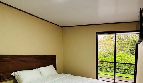 Deluxe Apartment, City View
