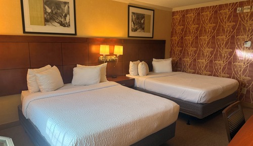 Deluxe Double or Twin Room