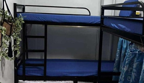 Standard Shared Dormitory