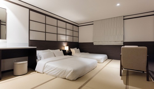 Hot spring Standard Twin