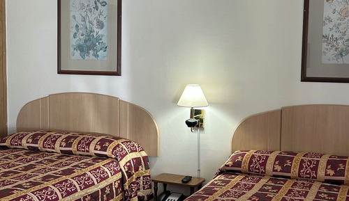 Basic Double Room