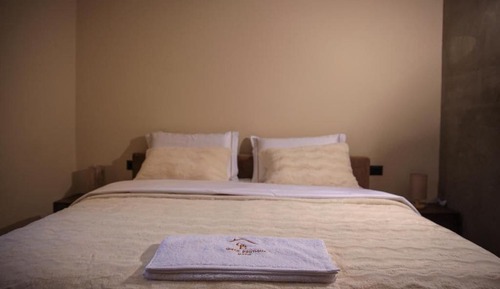 Basic Double Room