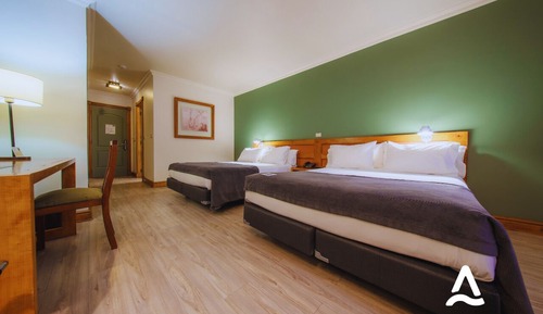 Basic Double Room