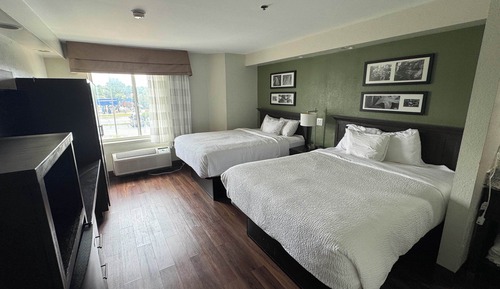 Standard Double Room, 1 Double Bed, Non Smoking, City View