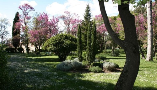 Comfort Studio, Garden View