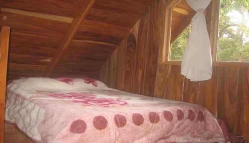 Comfort Chalet, Garden View