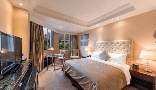 Superior Single Room, City View