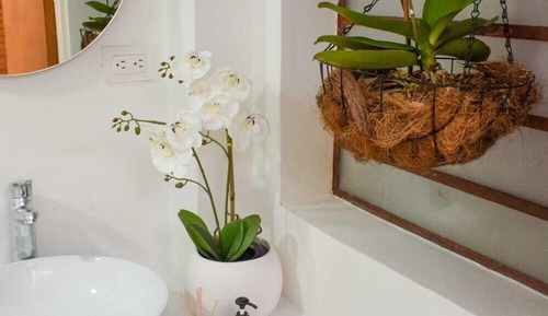 Basic Single Room, Housekeeping, Garden View