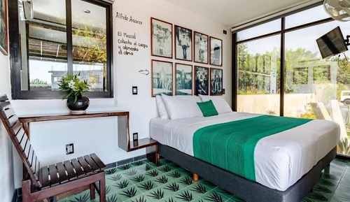 Comfort Double Room, 1 King Bed, Ocean View