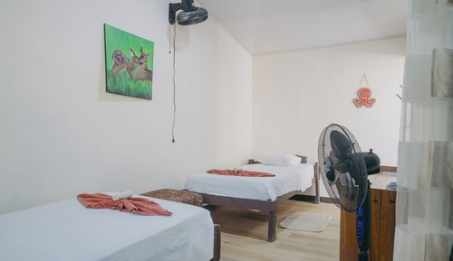 Basic Twin Room, Garden View